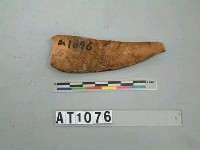 藏品(椰殼匙)的圖片